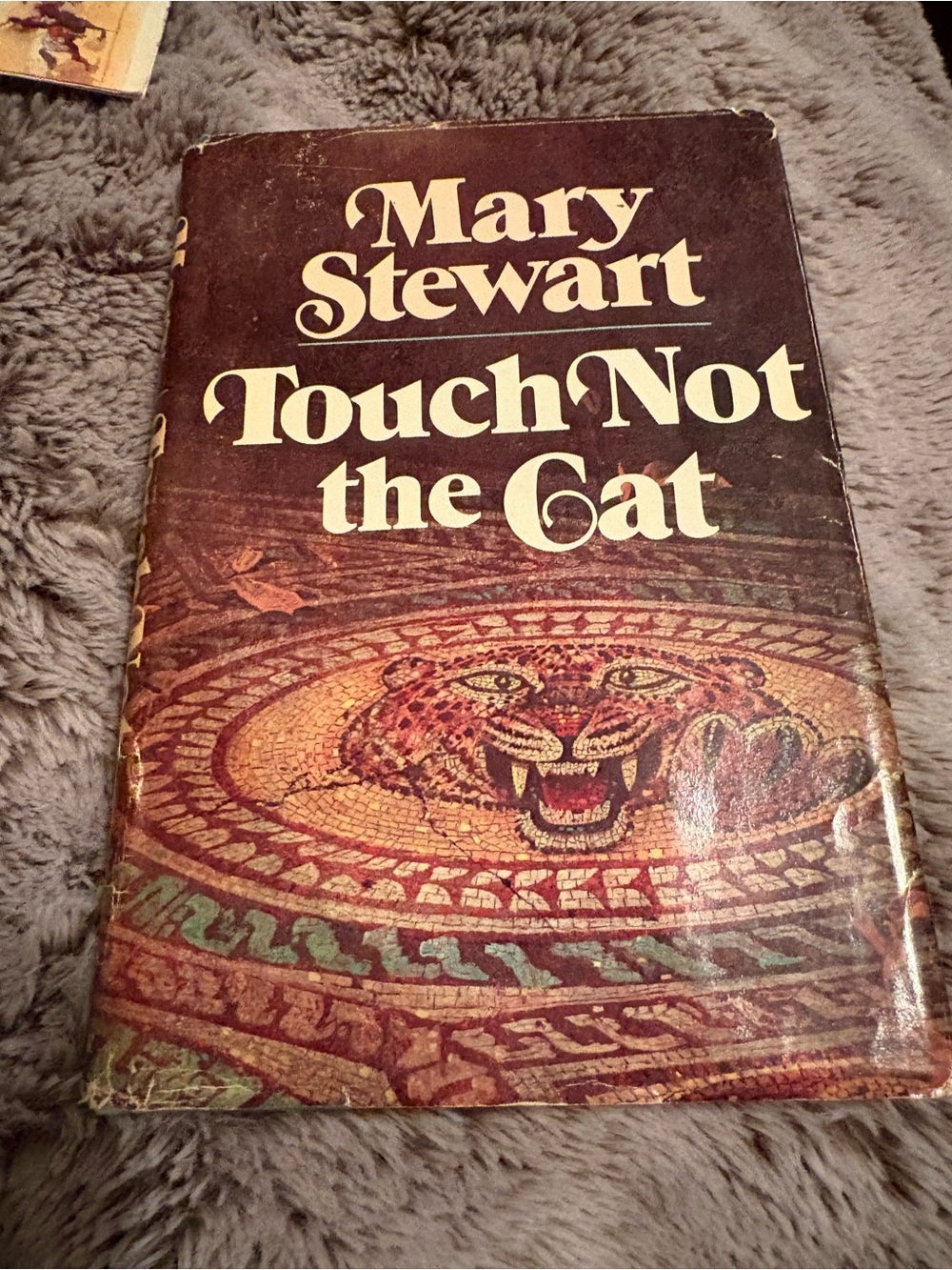 Touch Not the Cat - Decorative Cat-Themed Cover (Brown)
